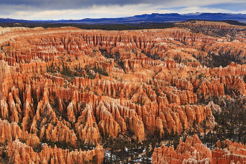 Silent City hoodoos, cloudy winter early morning, Bryce Amphitheatre, Bryce Point, Bryce Canyon National Park, Utah, United States of America, North America