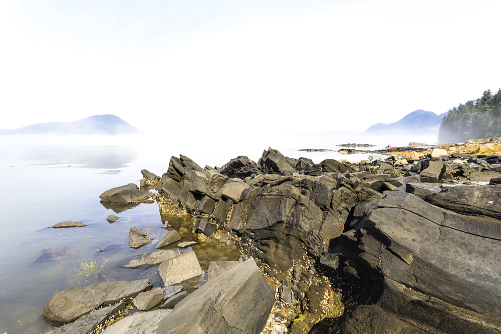 Mist clears from beautiful Petroglyph Beach, State Historic Park, archaeological site, Wrangell, pioneer port, Alaska, United States of America, North America