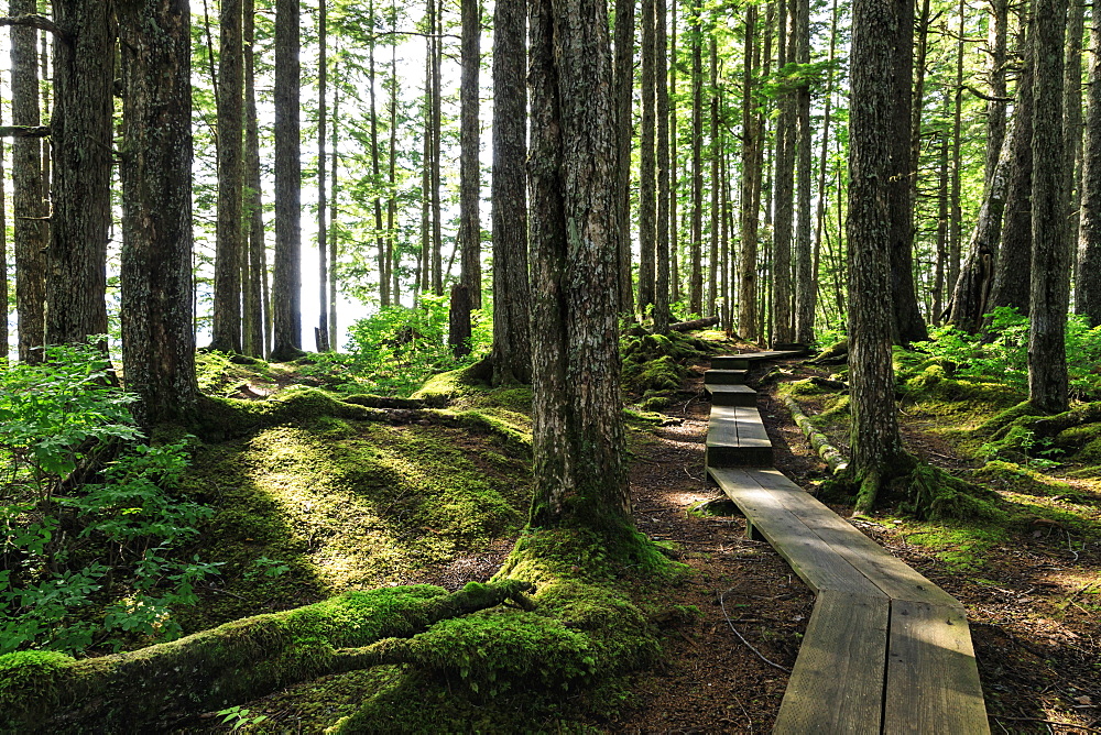 Mount Dewey trail, Wrangell, outback pioneer port and fishing community, gateway to Stikine River, Inside Passage, Alaska, United States of America, North America