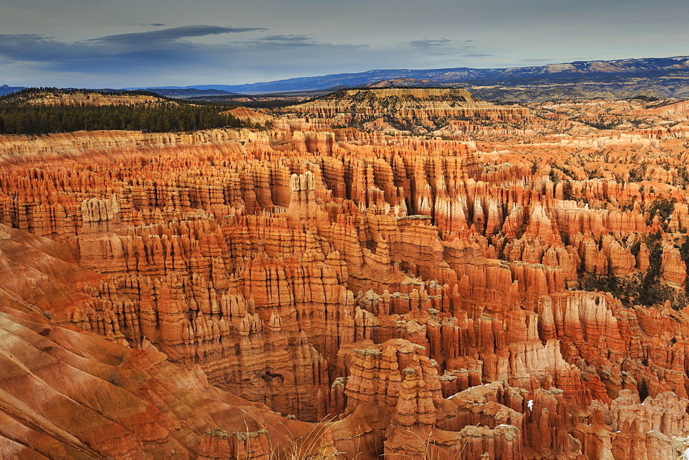 Silent City hoodoos on a cloudy winter afternoon, Bryce Amphitheatre, Inspiration Point, Bryce Canyon National Park, Utah, United States of America, North America