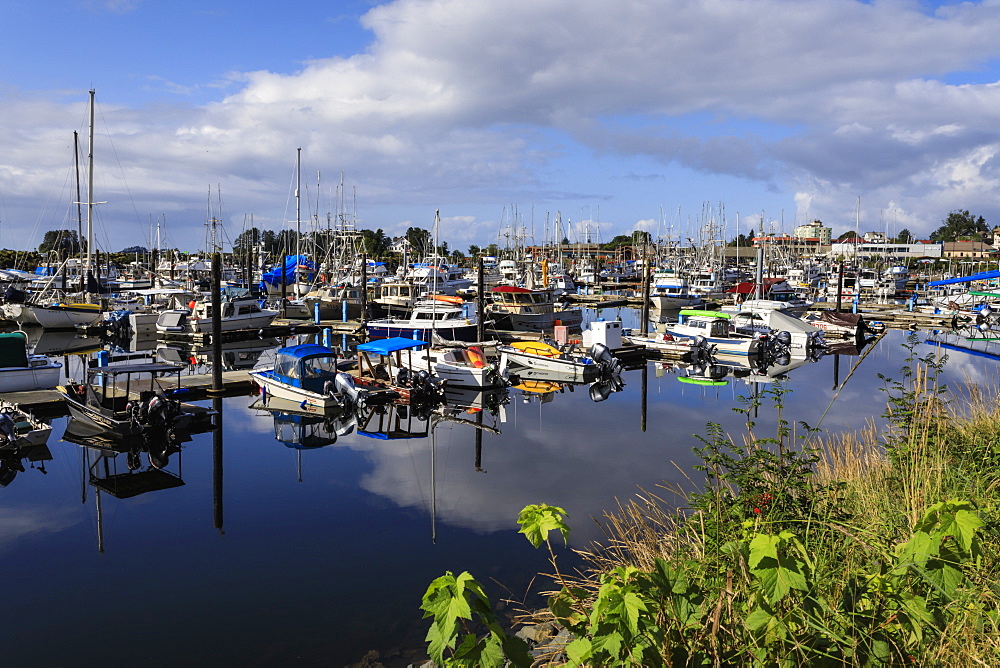 Boat harbour with beautiful reflections and town of Sitka, Baranof Island, Northern Panhandle, Southeast Alaska, United States of America, North America