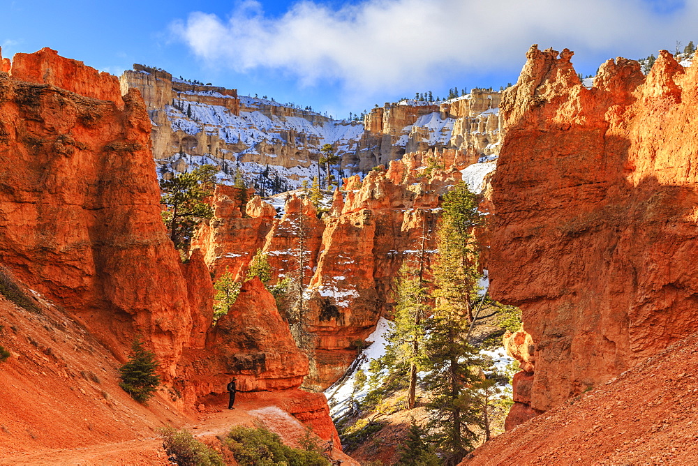 Hiker takes a break on the Peekaboo Loop Trail in winter, with snowy red rocks and cliffs, Bryce Canyon National Park, Utah, United States of America, North America