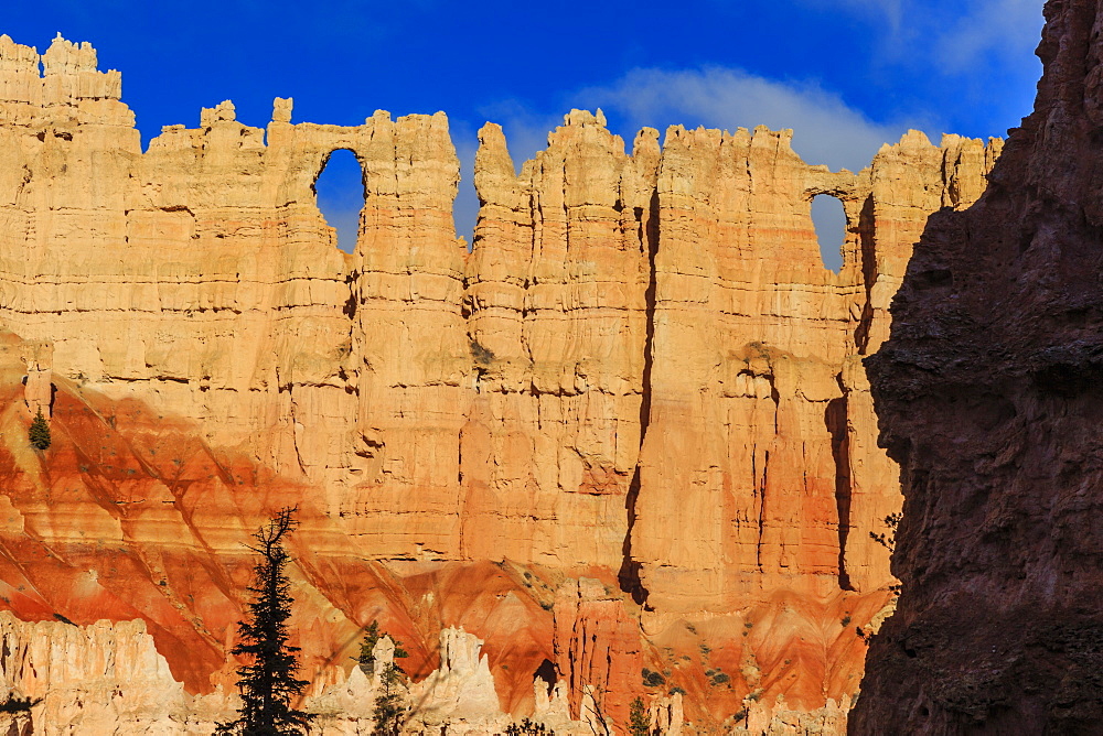 Wall of Windows lit by early morning sun, silhouetted rock, Peekaboo Loop Trail, Bryce Canyon National Park, Utah, United States of America, North America