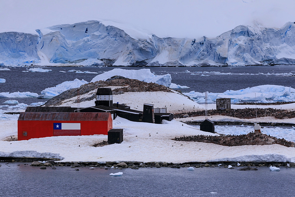 Elevated view, Chilean Gonzalez Videla Station, Gentoo penguins, icebergs and glacier, Waterboat Point, Paradise Bay, Antarctica, Polar Regions