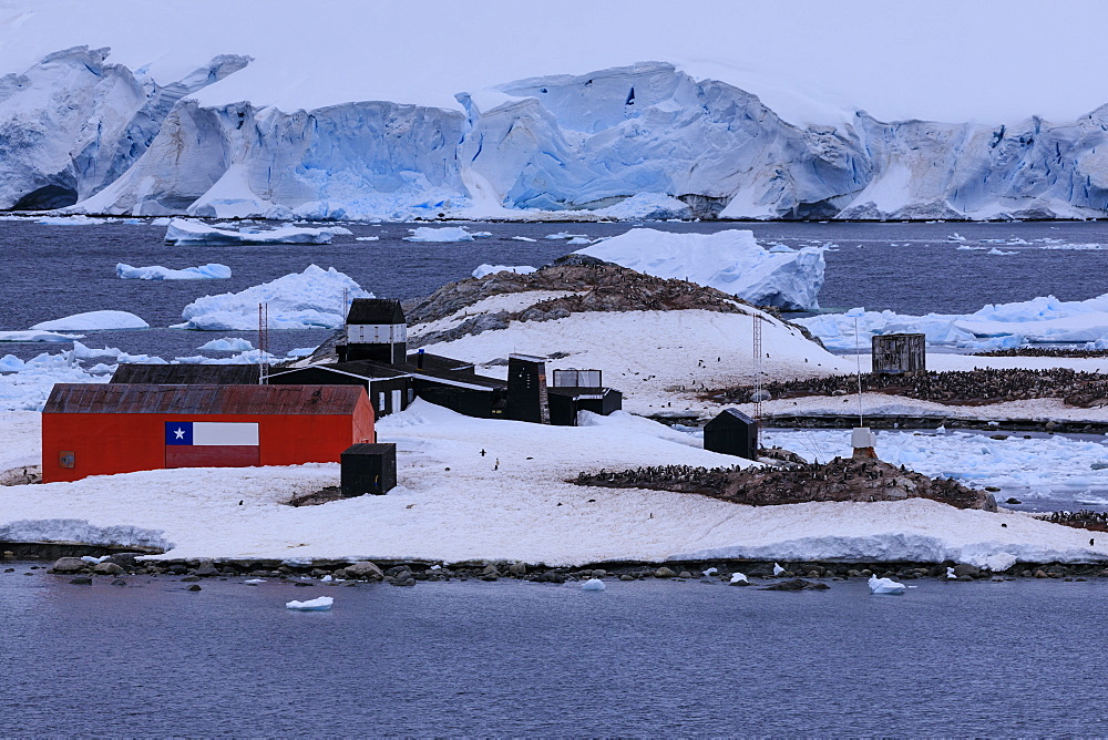 Elevated view, Chilean Gonzalez Videla Station, Gentoo penguins, icebergs and glacier, Waterboat Point, Paradise Bay, Antarctica, Polar Regions