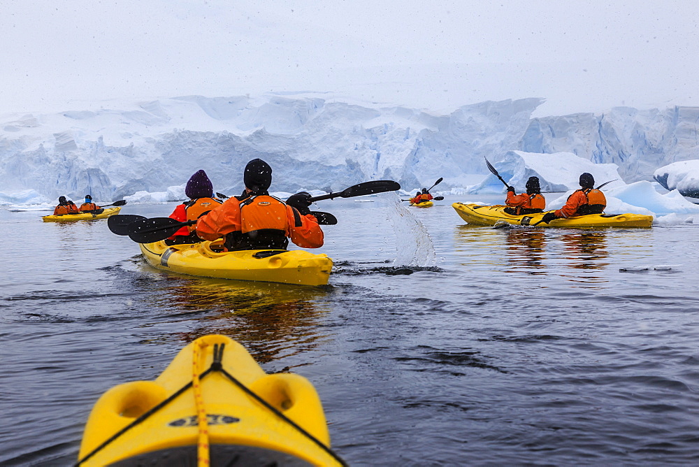 Expedition tourists kayaking in cold, snowy weather, with icebergs, Chilean Gonzalez Videla Station, Waterboat Point, Antarctica, Polar Regions