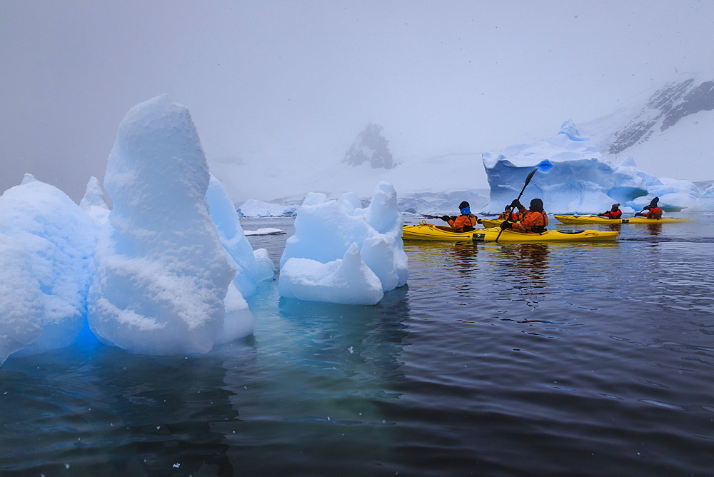 Expedition tourists kayaking in snowy weather, with blue icebergs, Chilean Gonzalez Videla Station, Waterboat Point, Antarctica, Polar Regions