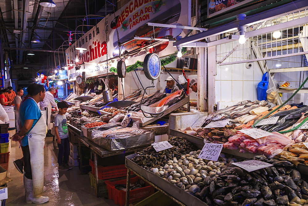 Attractive fresh fish stall, Mercado Central (Central Market), Santiago Centro, Santiago de Chile, Chile, South America