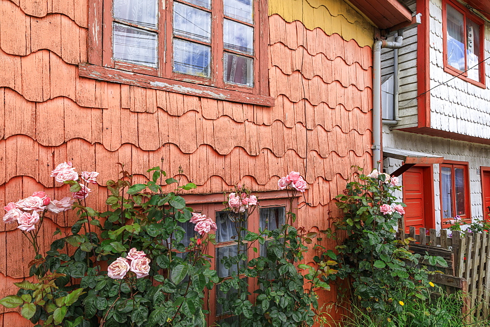 Palafitos (stilt houses) detail, showing tejuelas wood shingles, unique to Chiloe, Castro, Isla Grande de Chiloe, Chile, South America