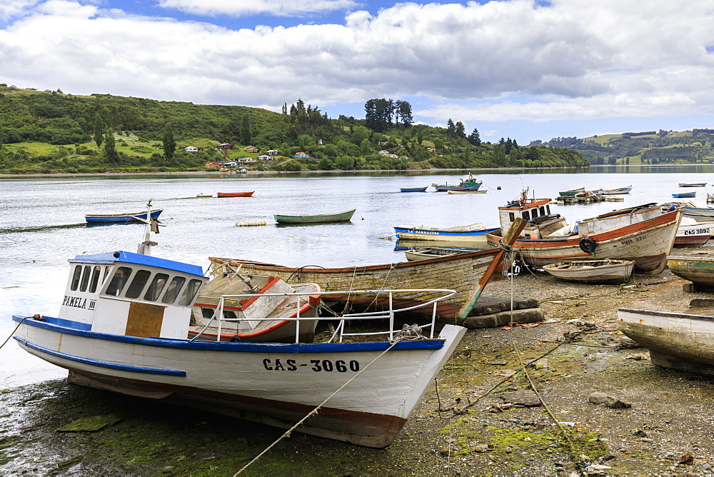 Sheltered estuary with boats, Chiloe, Castro, Isla Grande de Chiloe, Chile, South America