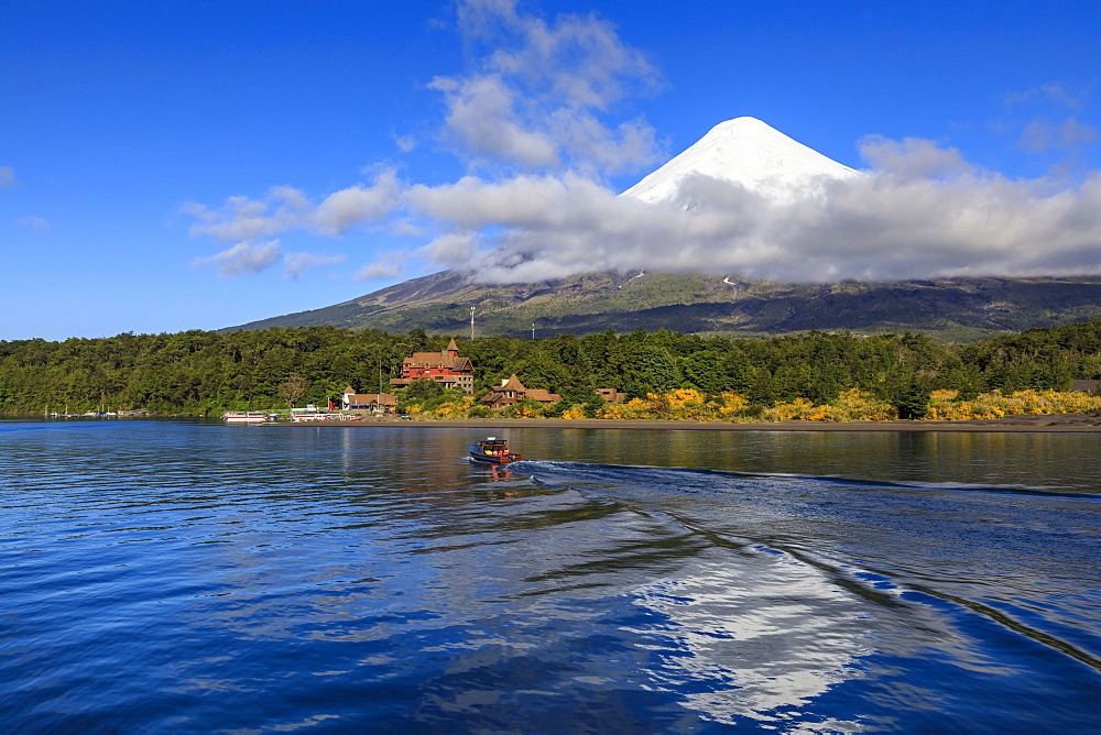 Petrohue, snow-capped, conical Osorno volcano, Lake Todos Los Santos, Vicente Perez Rosales National Park, Lakes District, Chile, South America