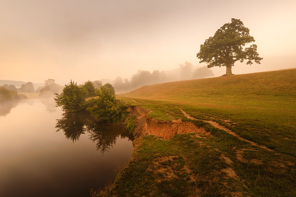 Early Autumn (Fall) mist, dawn, River Derwent, Chatsworth Park, Peak District National Park, Chesterfield, Derbyshire, England, United Kingdom, Europe