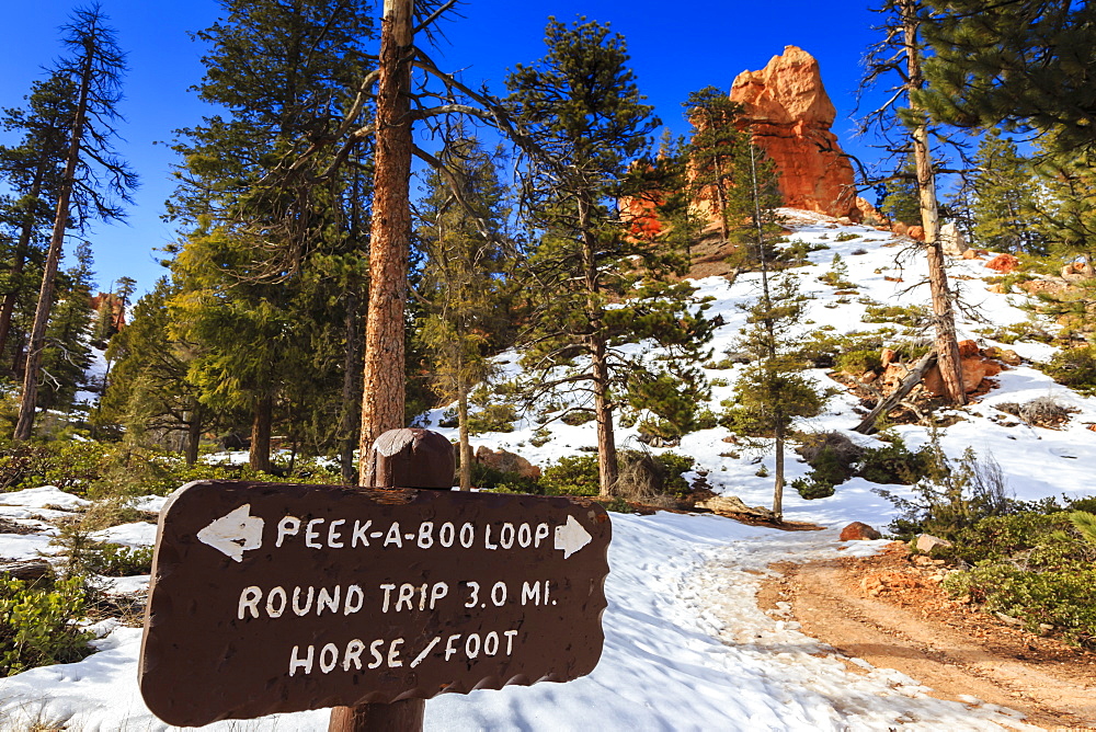 Peekaboo Loop Trail sign with snow and rocks lit by early morning winter sun, Bryce Canyon National Park, Utah, United States of America, North America