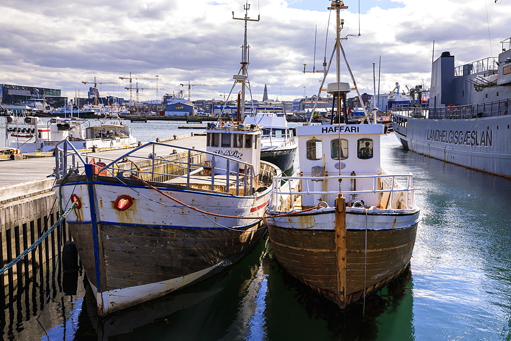 Fishing boats in Reykjavik Old Harbour in summer, distant Hallgrimskirkja, Central Reykjavik, Iceland, Polar Regions