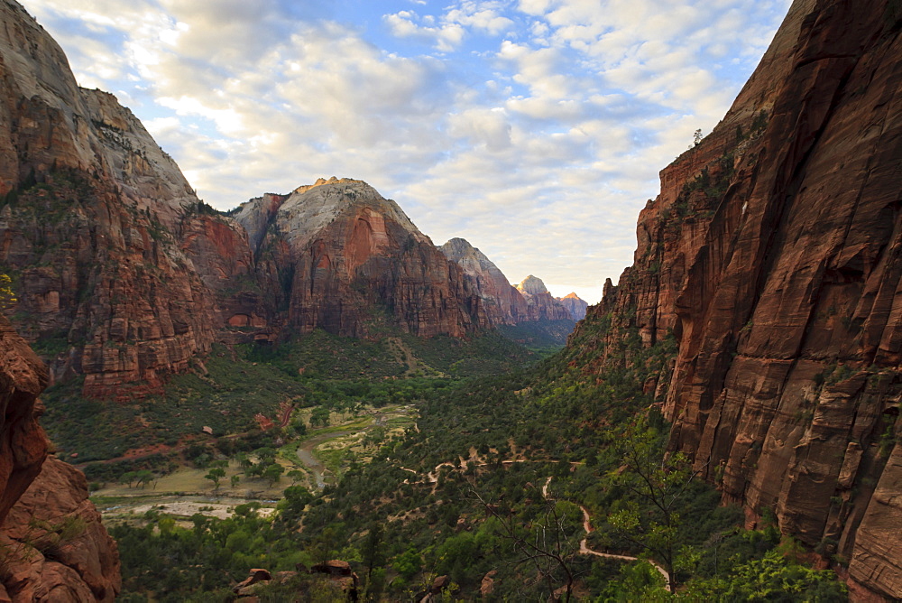 View down Zion Canyon from trail to Angels Landing at dawn, Zion National Park, Utah, United States of America, North America 