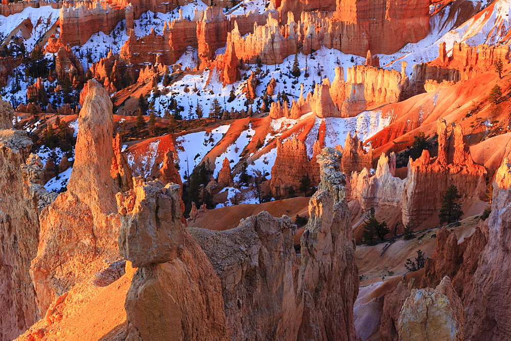 Hoodoos and snow lit by strong dawn light, Queen's Garden Trail at Sunrise Point, Bryce Canyon National Park, Utah, United States of America, North America