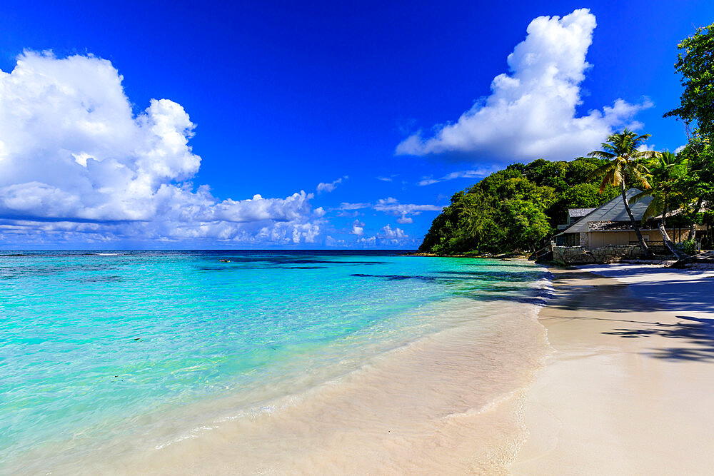 Long Bay Beach, beautiful soft white sand, turquoise sea, palm trees, Antigua, Antigua and Barbuda, Leeward Islands, West Indies, Caribbean, Central America