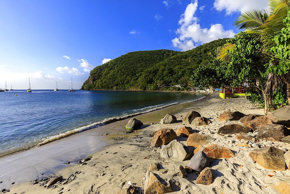 Deshaies waterfront, Death In Paradise location, Basse Terre, Guadeloupe, Leeward Islands, West Indies, Caribbean, Central America