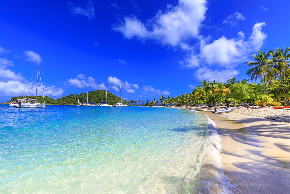 Saltwhistle Bay, white sand beach, turquoise sea, yachts, palm trees, Mayreau, Grenadines, St. Vincent and The Grenadines, Windward Islands, West Indies, Caribbean, Central America