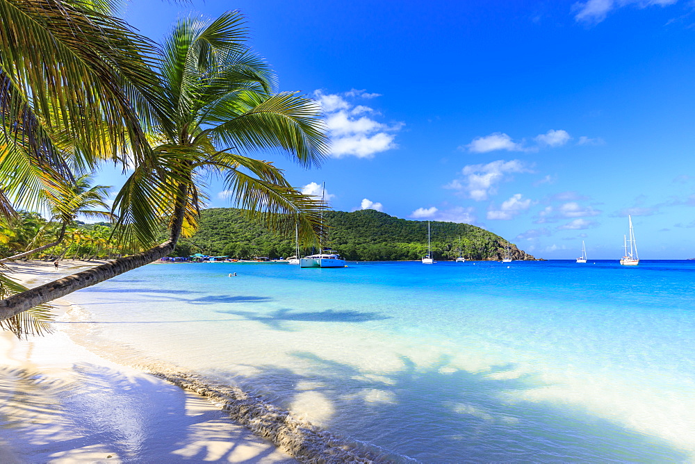 Stunning Saltwhistle Bay, yachts, white sand beach, blue sea, overhanging palm trees, Mayreau, Grenadines, St. Vincent and The Grenadines, Windward Islands, West Indies, Caribbean, Central America