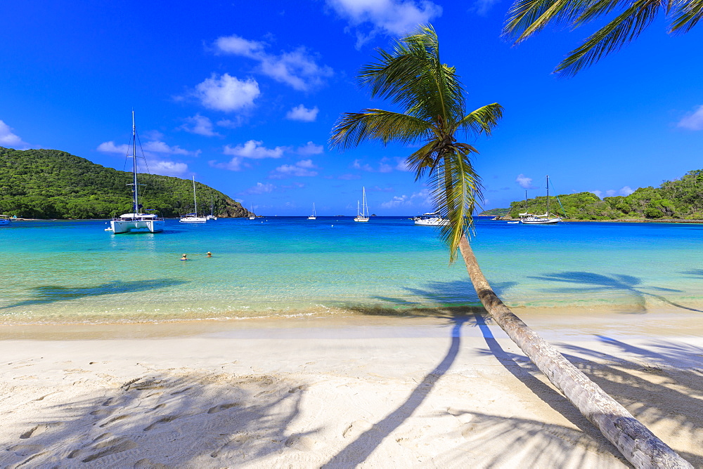 Stunning Saltwhistle Bay, yachts, white sand beach, blue sea, overhanging palm trees, Mayreau, Grenadines, St. Vincent and The Grenadines, Windward Islands, West Indies, Caribbean, Central America