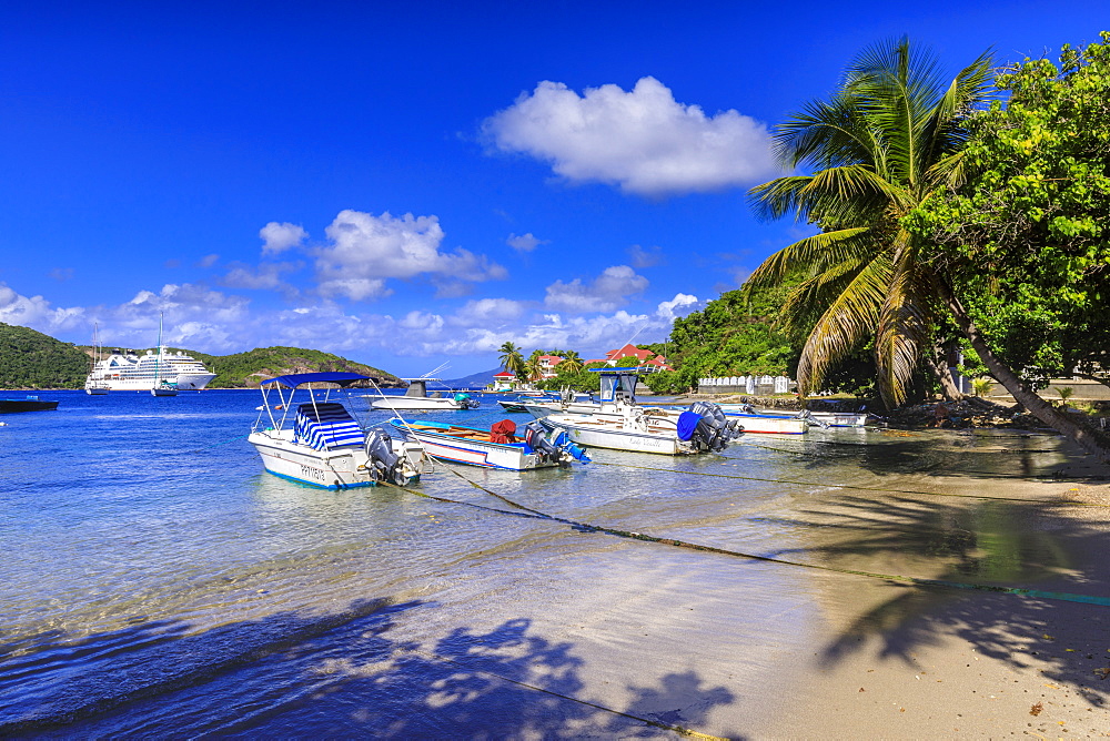 Les Saintes Bay at Anse Mire Cove beach, boats, turquoise sea, palm tree, Terre de Haut, Iles Des Saintes, Guadeloupe, Leeward Islands, West Indies, Caribbean, Central America