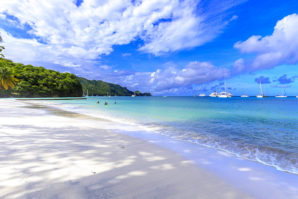 Quiet Caribbean, family play in turquoise sea, white sand beach, beautiful Port Elizabeth, Bequia, The Grenadines, St. Vincent and the Grenadines, Windward Islands, West Indies, Caribbean, Central America