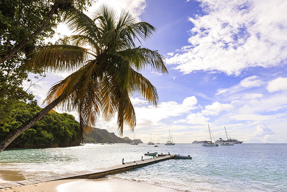 Quiet Caribbean, sea shore palm tree, boat jetty, beautiful Port Elizabeth, Admiralty Bay, Bequia, The Grenadines, St. Vincent and The Grenadines, Windward Islands, West Indies, Caribbean, Central America