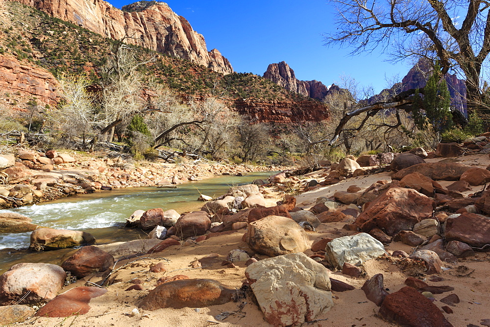 Shores of the Virgin River in winter, Zion Canyon, Zion National Park, Utah, United States of America, North America