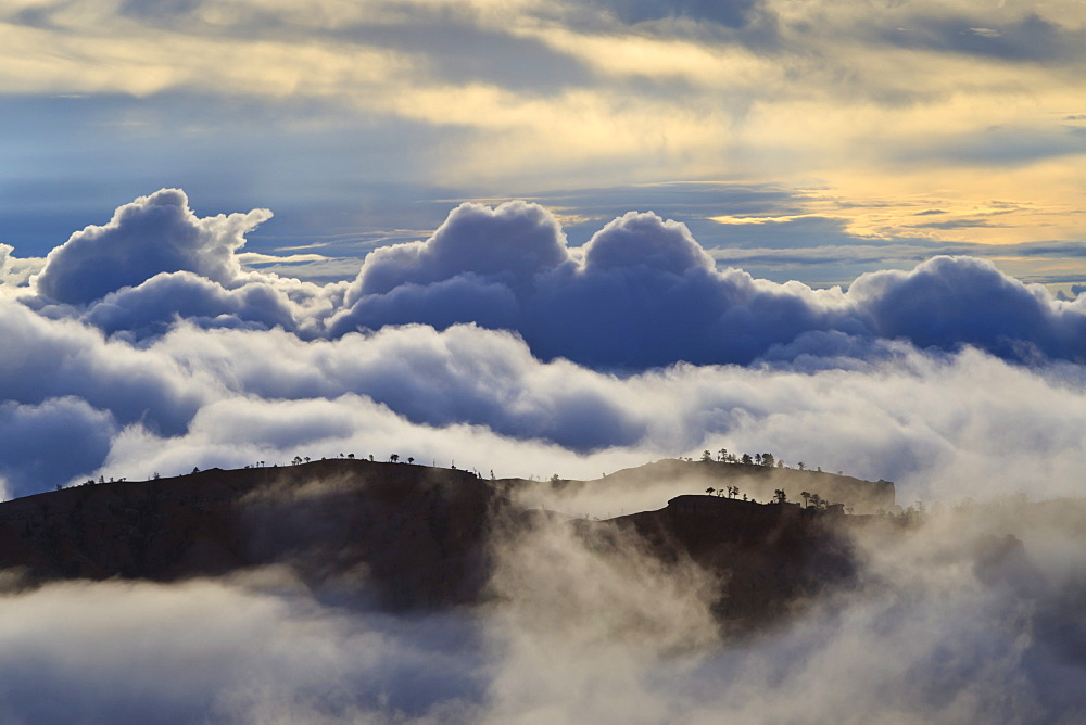 Tree studded ridges, fog and clouds of a partial temperature inversion, Bryce Canyon, Bryce Canyon National Park, Utah, United States of America, North America 