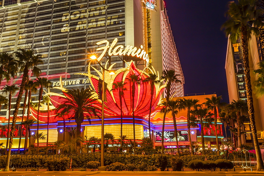 Neon lights, Las Vegas Strip at dusk with Flamingo Facade and palm trees, Las Vegas, Nevada, United States of America, North America 