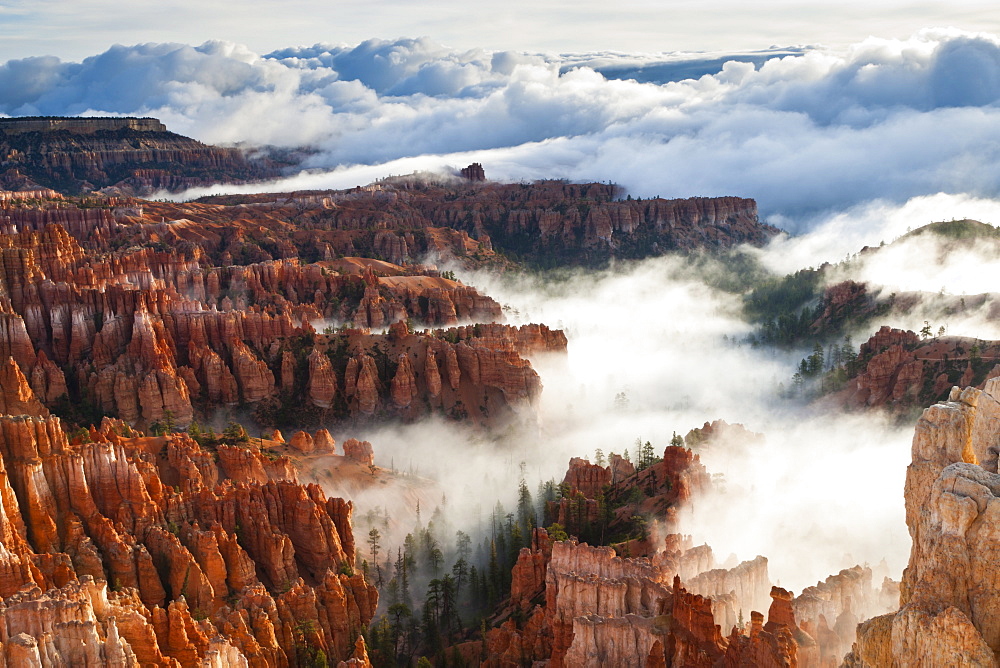 Pinnacles and hoodoos with fog extending into clouds of a partial temperature inversion, Bryce Canyon National Park, Utah, United States of America, North America 