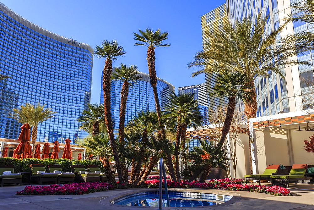 Poolside, Mandarin Oriental, City Center, Las Vegas, Nevada, United States of America, North America