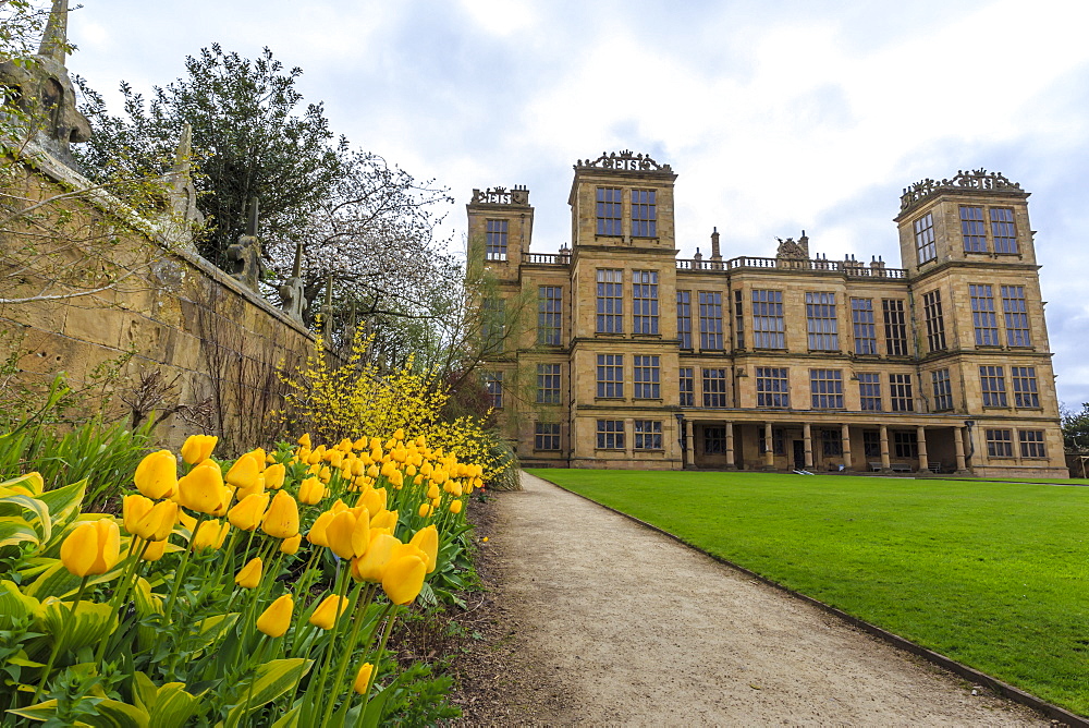 Tulip border, pathway and lawn in spring at Hardwick Hall, near Chesterfield, Derbyshire, England, United Kingdom, Europe