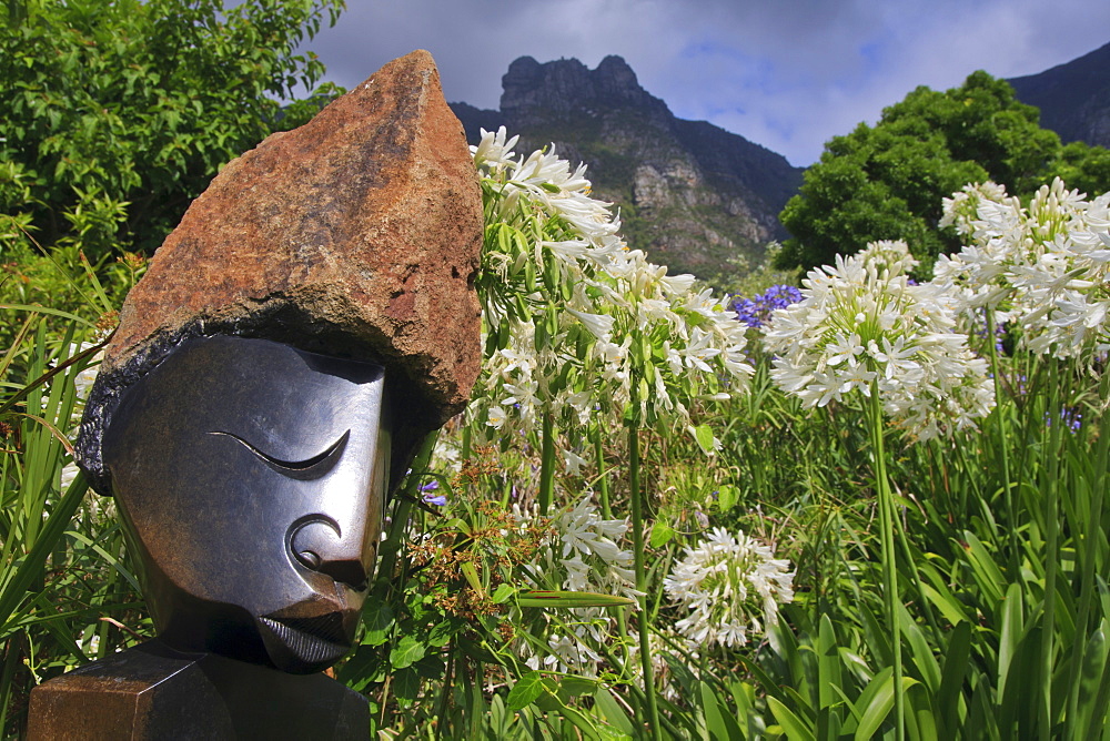 Statue with agapanthus and Table Mountain behind, Kirstenbosch National Botanical Garden, Cape Town, South Africa, Africa 