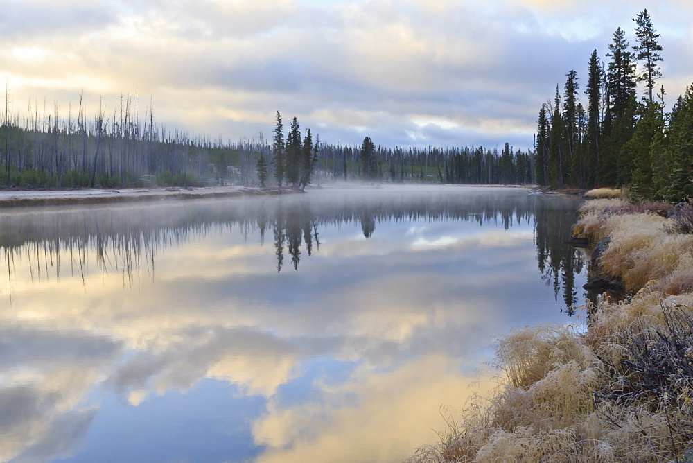 Regenerating trees reflected in a frosty and misty Lewis River at dawn, Yellowstone National Park, UNESCO World Heritage Site, Wyoming, United States of America, North America