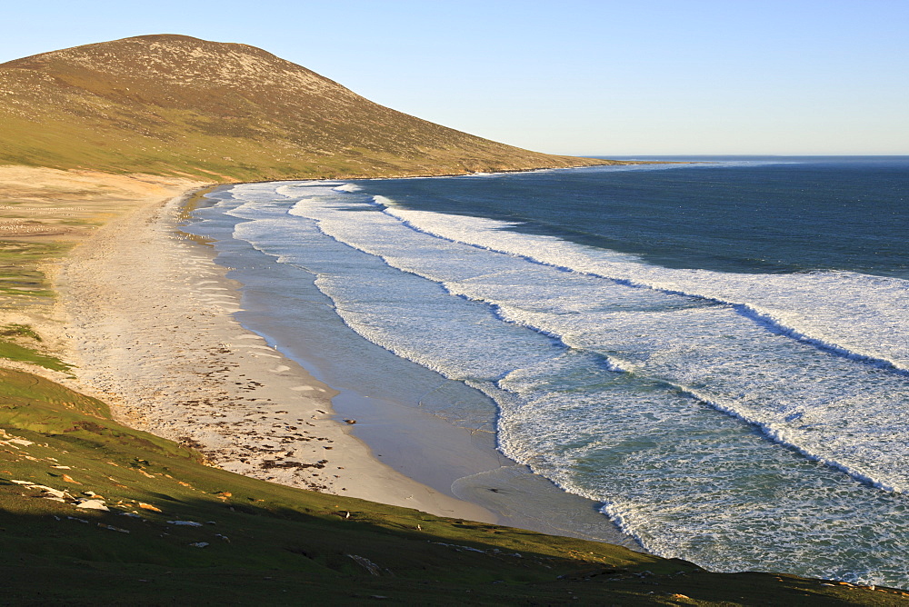 Elevated view of Mount Harston, white sand beach and rolling waves, the Neck, Saunders Island, Falkland Islands, South America