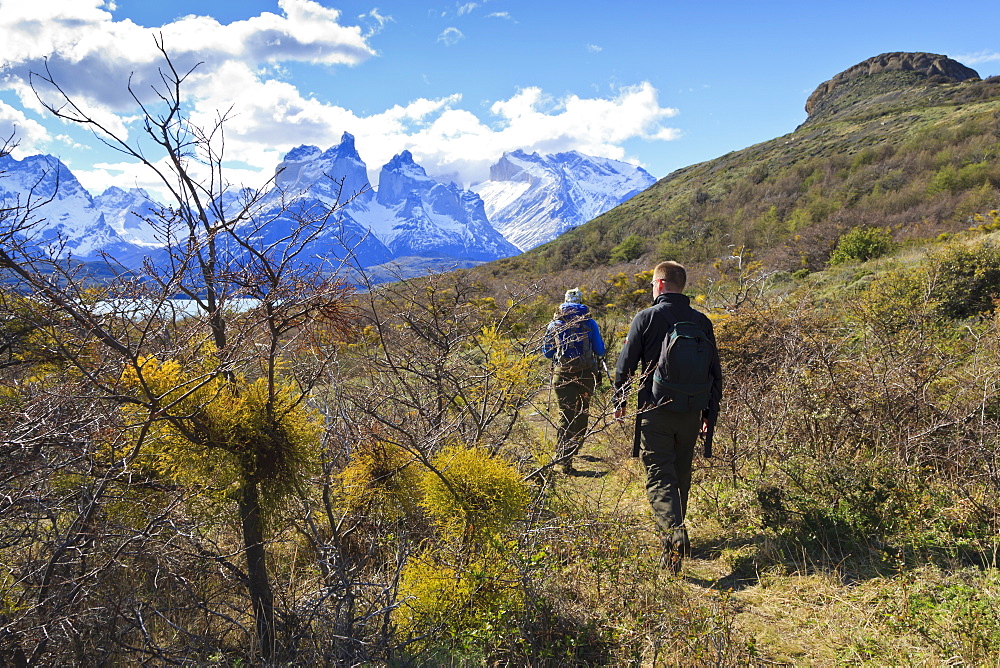 Hikers walking towards Condor Vista Point, with Lago Pehoe and the Torres del Paine in view, Torres del Paine National Park, Patagonia, Chile, South America 