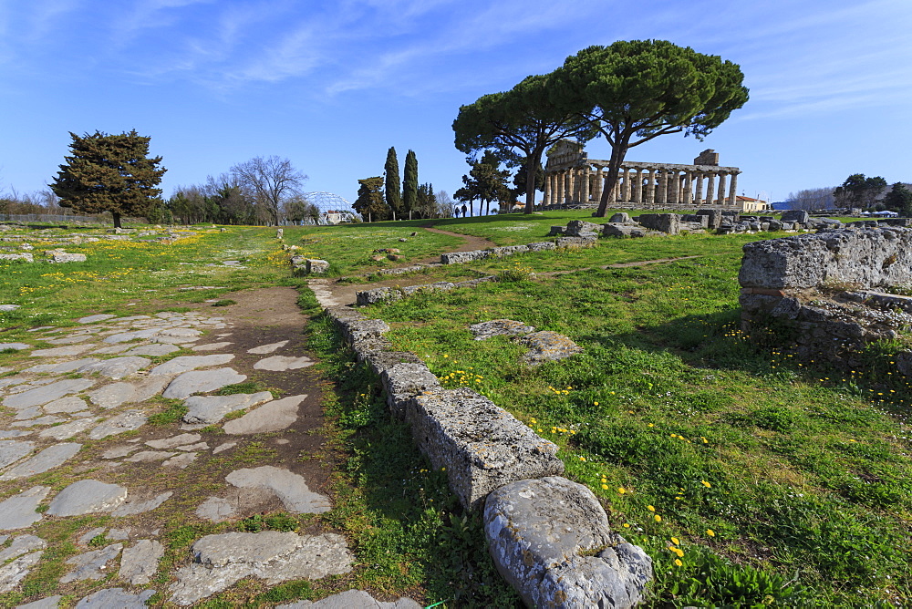 Temple of Athena (Temple of Ceres), Paestum, Greek ruins, UNESCO World Heritage Site, Campania, Italy, Europe