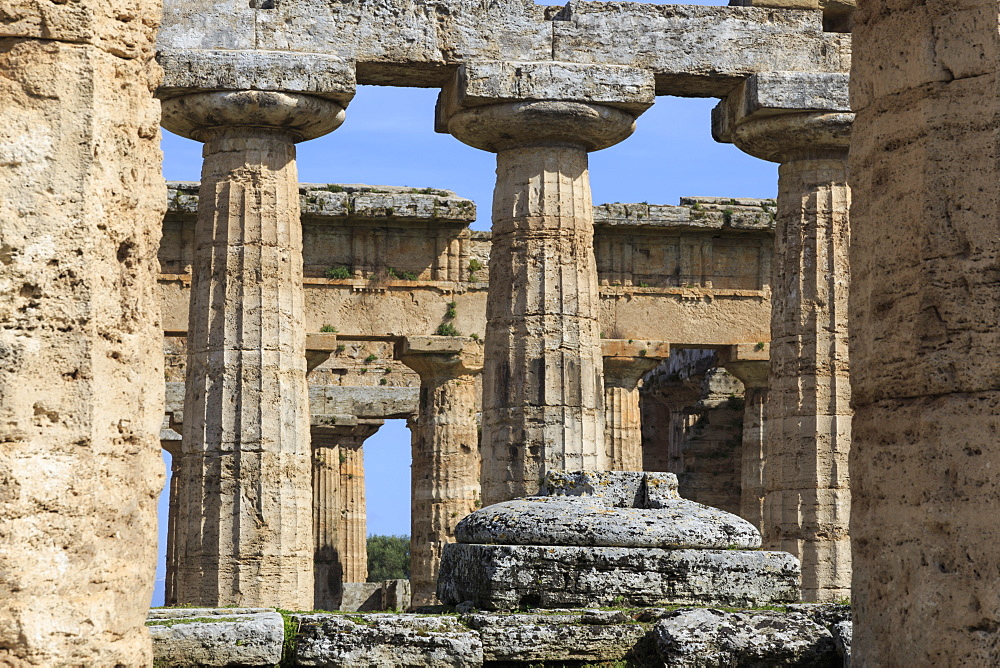 Temple of Hera (the Basilica) 530 BC, oldest Greek temple at Paestum, UNESCO World Heritage Site, Campania, Italy, Europe