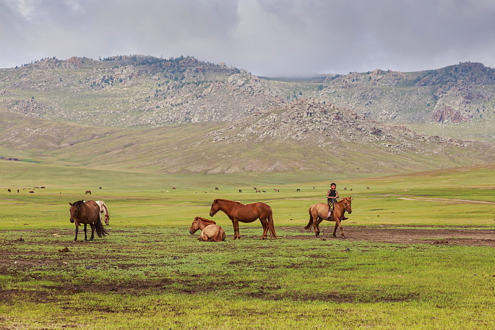 Smiling boy rides bareback past other horses, summer nomad camp, Khujirt, Uvurkhangai (Ovorkhangai), Central Mongolia, central Asia, Asia