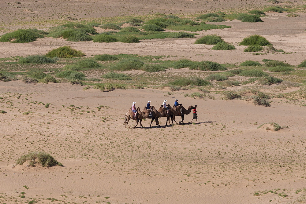 Tourists on Bactrian camel train cross sandy landscape, elevated view in summer, Khongoryn Els sand dunes, Gobi Desert, Mongolia, Central Asia, Asia