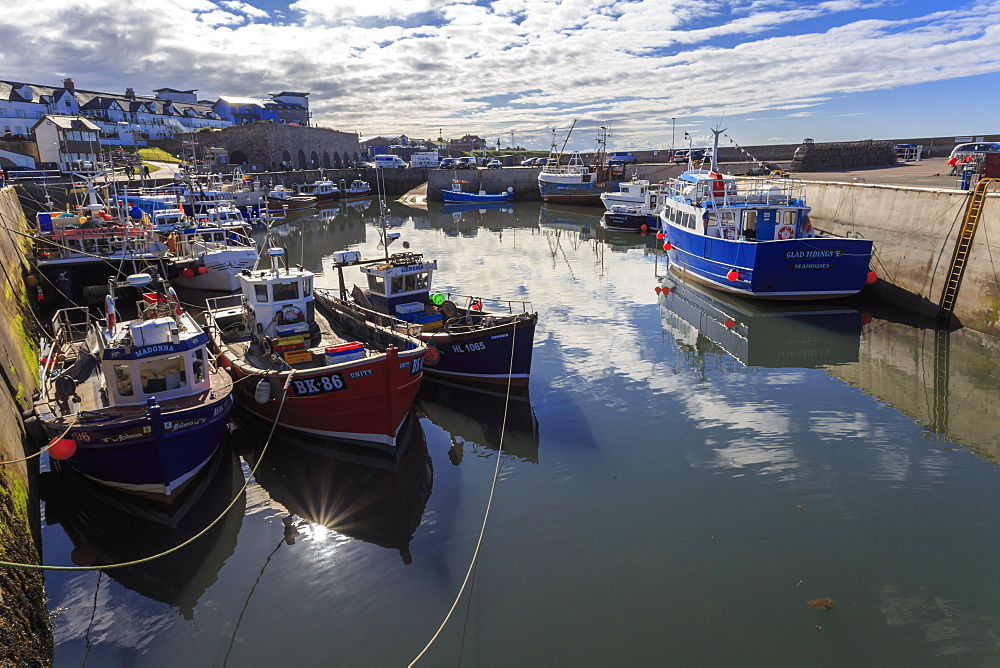 Colourful fishing boats in harbour and village beyond on a sunny summer evening, Seahouses, Northumberland, England, United Kingdom, Europe