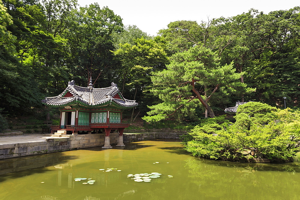 Huwon, The Secret Garden, pavilions around a square lily pond, Changdeokgung Palace in summer, UNESCO World Heritage Site, Seoul, South Korea, Asia