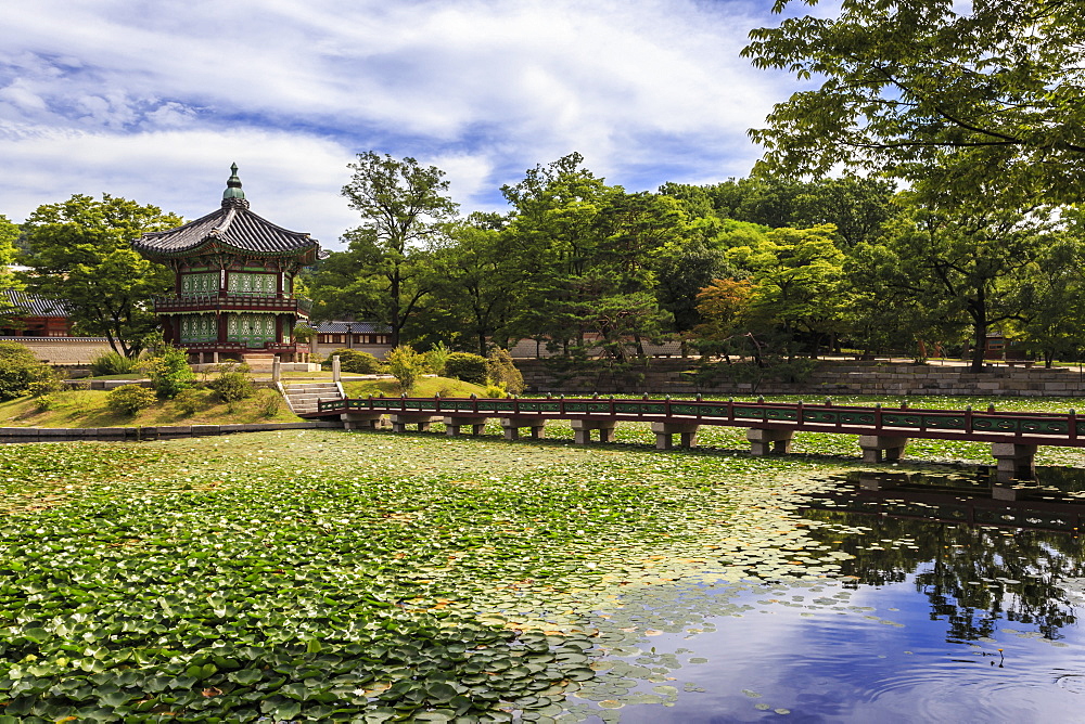 Hyangwonjeong pavilion and Chwihyanggyo bridge over water lily filled lake in summer, Gyeongbokgung Palace, Seoul, South Korea, Asia