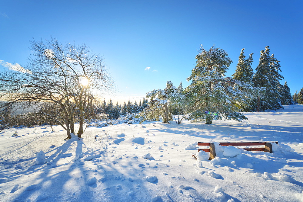 Bench and trees covered in deep snow on mountain Schliffkopf in Northern Black Forest, Baden-Wurttemberg, Germany, Europe 