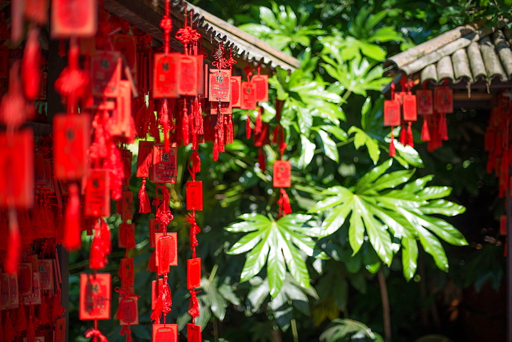 Red wooden Buddhist good luck charms and tropical vegetation, Hangzhou, Zhejiang, China, Asia