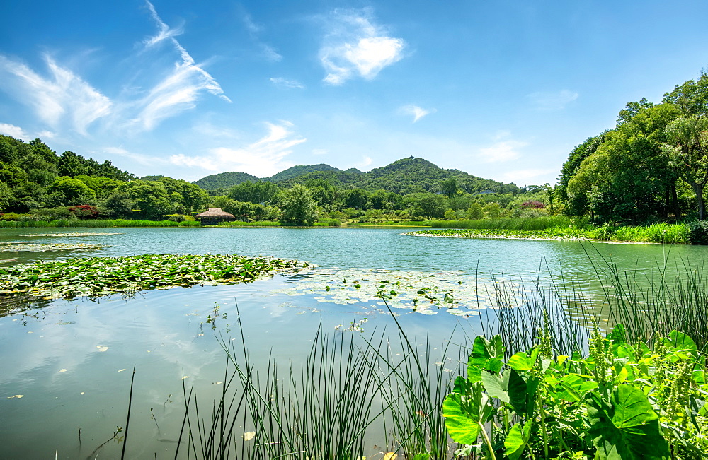 West Lake landscape with green hills, lake and blue sky, Hangzhou, Zhejiang, China, Asia 