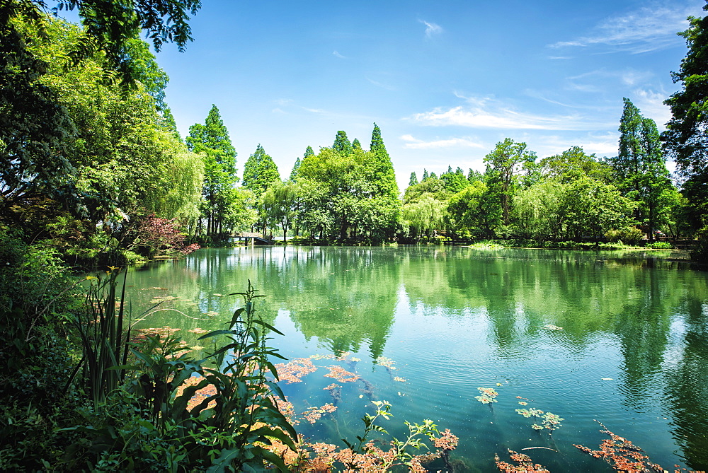 Peaceful lake scene with greenery at one of the lesser known spots at West Lake in Hangzhou, Zhejiang, China, Asia