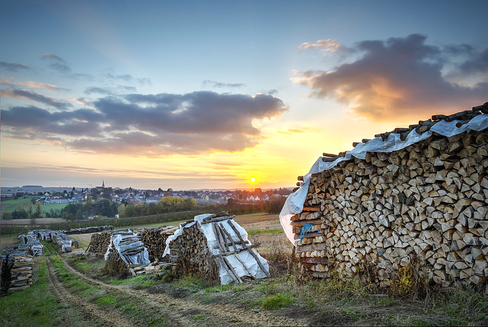 Wood piles near Schoenenbourg, Bas-Rhin, France, Europe